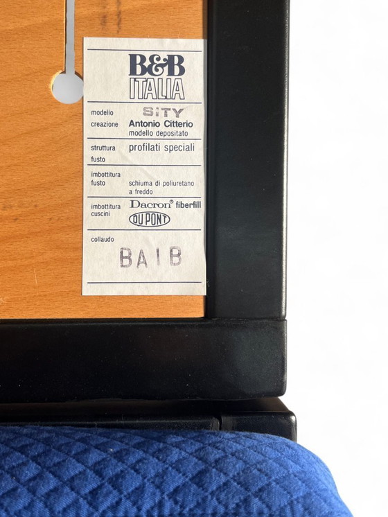 Image 1 of Pair of "Sity" armchairs for B&B Italia, Antonio Citterio