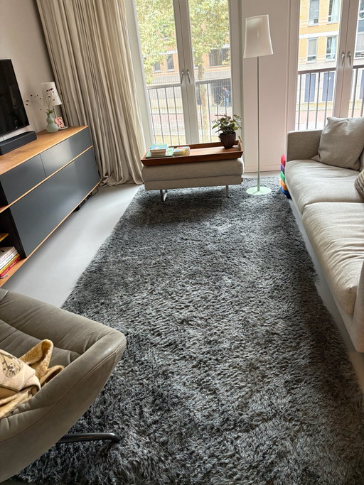 Carpet Sign rug
