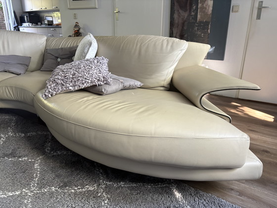Image 1 of Divano Natuzzi in rovere e pelle bianca