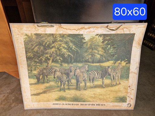 Old school poster Rhenen zoo