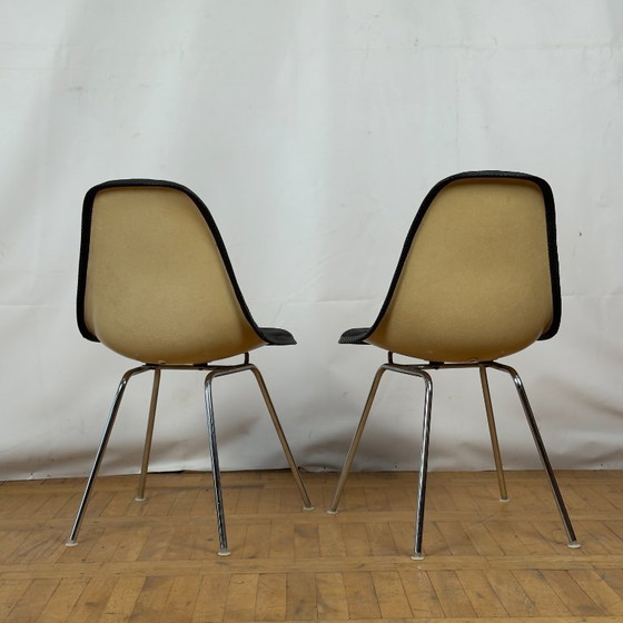 Image 1 of Vintage Herman Miller DSX glasvezel stoel van Ray & Charles Eames, 1971 - Mid Century Modern Icoon, zwarte bekleding
