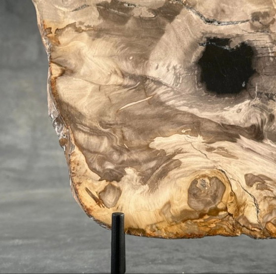 Image 1 of Bois fossilisé de Sooka, fabrication sur mesure standard (neuf)