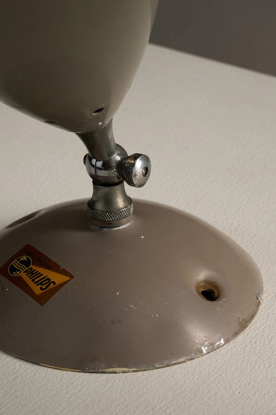 Set di 2 lampade coniche direzionali da parete o soffitto Philips, Belgio, ca. anni '50, Applique, Metallo (foto 4 di 6)