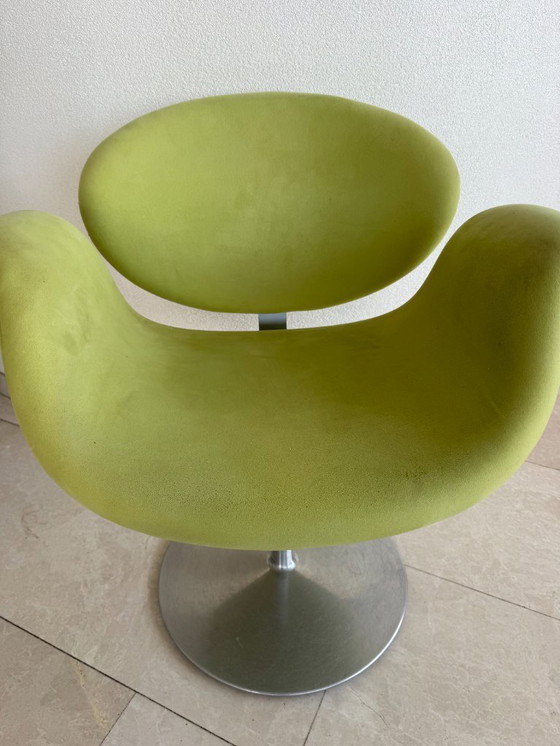 Image 1 of 4 sedie Artifort Little Tulip. Da rivestire.