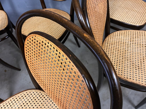 Thonet 215r 6 chairs classic design – Dining chairs, Wood, Rattan (photo 6 of 15)