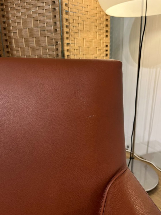 COME NUOVO Design on Stock Tumbler + GARANZIA – Poltrone, Leather (photo 9 of 9)