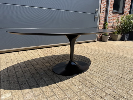 Image 1 of Mesa de comedor ovalada Knoll Tulip de 198 o 244 cm, laminada Feniks negra, Eero Saarinen