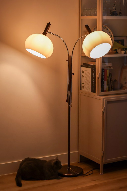 Vintage Dijkstra Floor light with adjustable globes