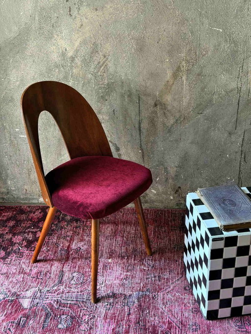 Antonín Šuman Stuhl 1967 für MIER Topoľčany, Mid Century Stuhl Nussbaum, Restauriert, Tschechischer Designklassiker 60er