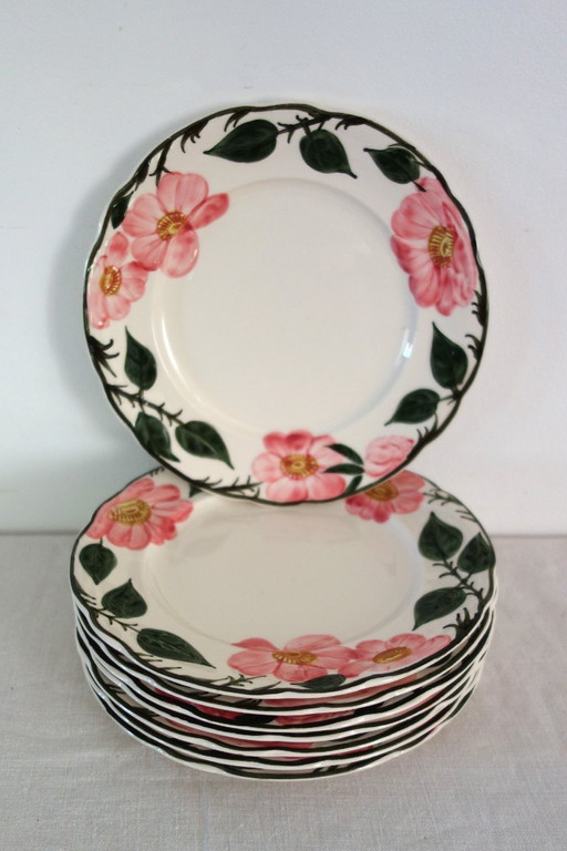 8 Villeroy & Boch „Wild Rose“ Speiseteller, 1970 – servies, Ceramic