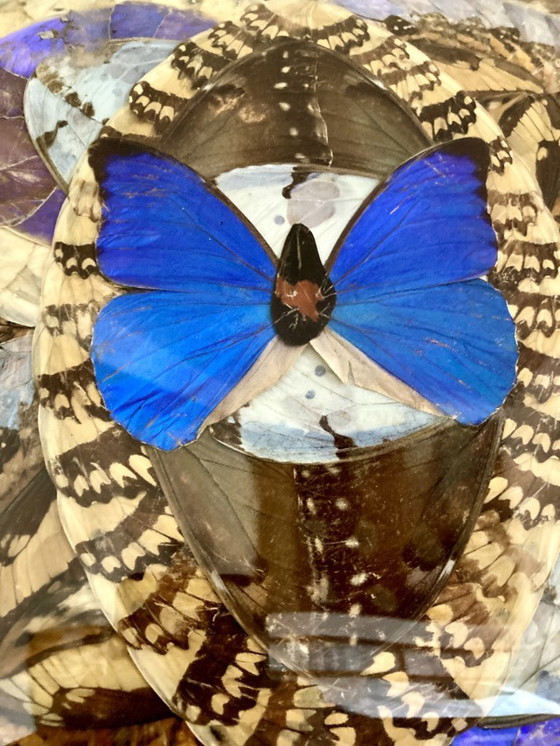 Image 1 of Composizione astratta incorniciata a forma di ali di farfalla