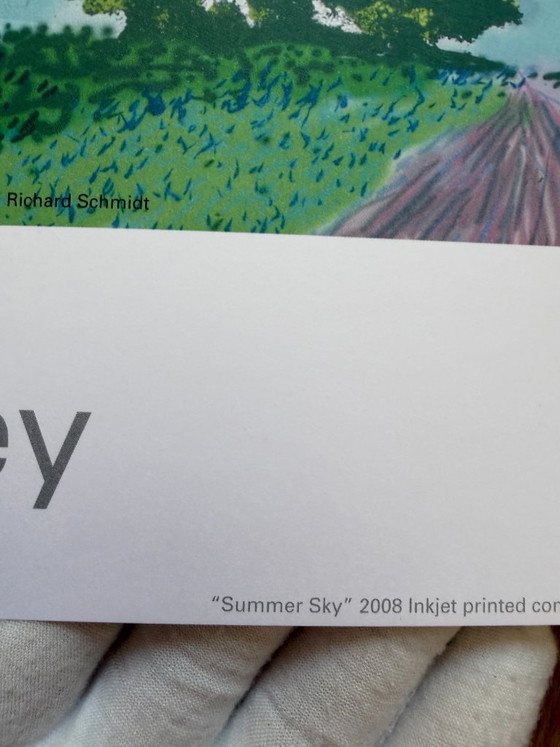 David Hockney (1937-2026), Ciel d'été, 2008, © David Hockney, Imprimé au Royaume-Uni – Tirages d'art, Paper (photo 5 of 11)