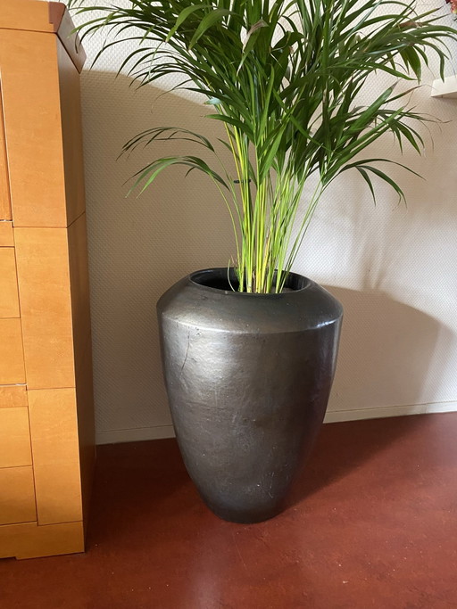 Sepia Plant pot