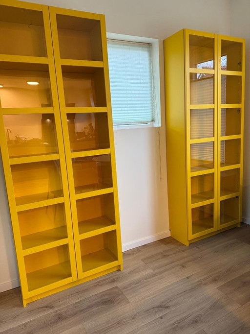 Vitrine (boeken) kasten