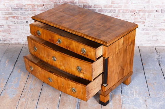 Cassettiera in stile Impero restaurata, in noce, acero e abete rosso, Austria, anni 1820. – Cassettiere, Wood (photo 3 of 18)