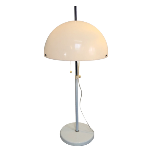 Fagerhults Skyddsform Lampe
