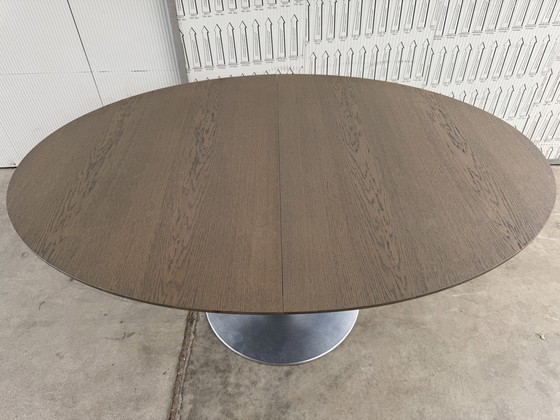 Image 1 of Arco balance ovale estensibile