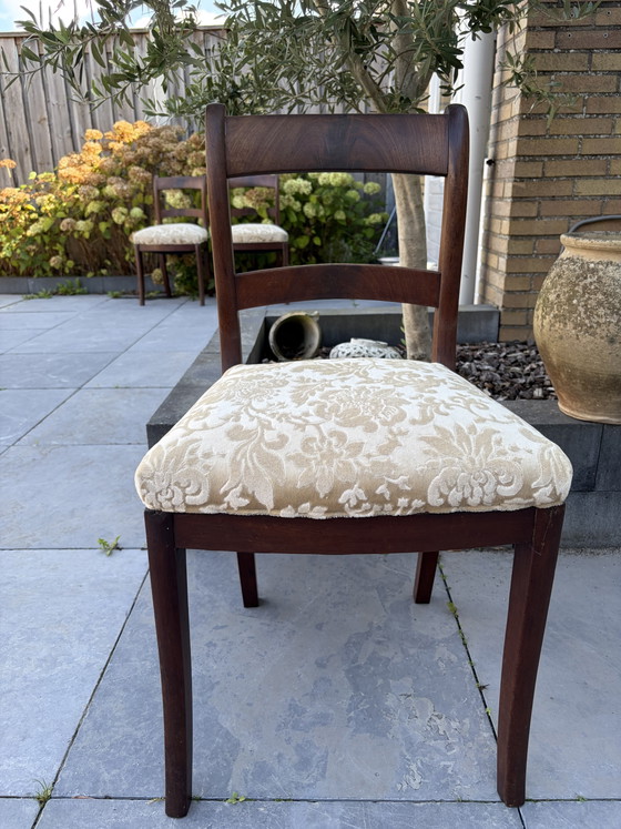 6 Vintage Antieke Mahonie Teak Stoelen – Eetkamerstoelen, Textile, Wood (photo 6 of 9)