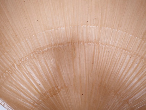 Image 1 of Uchiwa-Stehlampe, Ingo-Maurer-Stehlampe