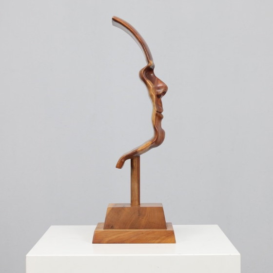 Image 1 of “Profile II”   Hand-Carved 3D Sculpture by Lawrence Schneider, 2007