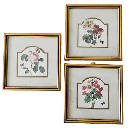 Ensemble de peintures vintage fleurs roses