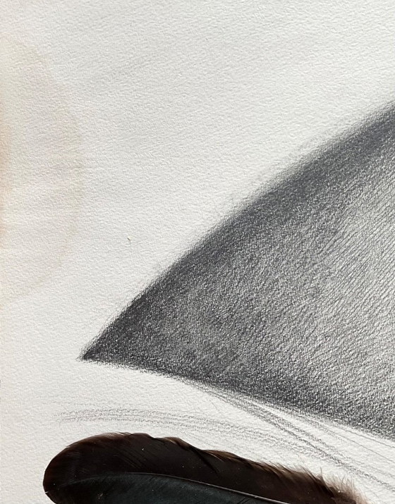 Image 1 of Collage, dessin avec des plumes