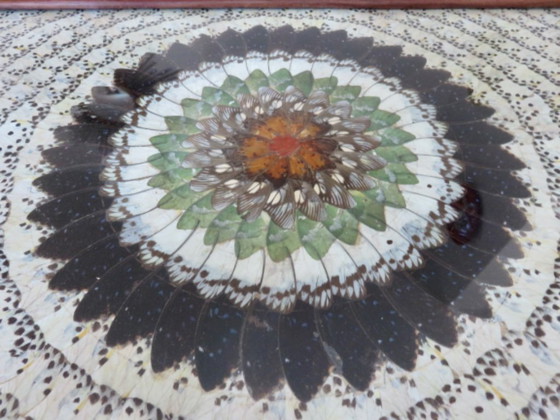 Image 1 of Schmetterlingsflügel-Tablett, Brasilien, 40er Jahre