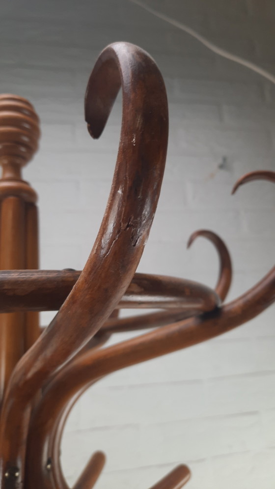 Image 1 of Appendiabiti da terra Thonet