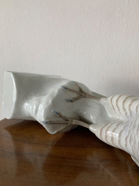 Image 1 of Muy hermoso halcón