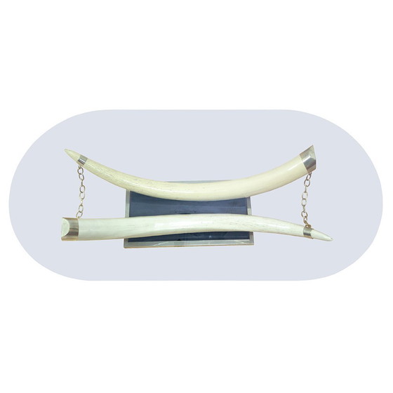 Image 1 of Mesa de centro francesa de mediados de siglo con colmillos de imitación de marfil, década de 1970