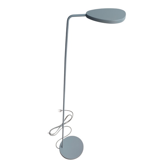 Image 1 of New floor lamp - Muuto leaf - grey