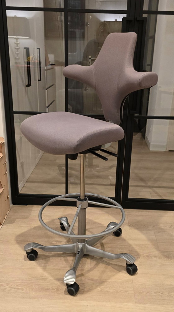 Image 1 of HAG Capisco 8126