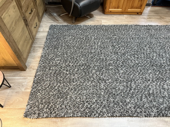 Image 1 of Brink and Campman - Dots - 170-240-Grau - 100% Wolle