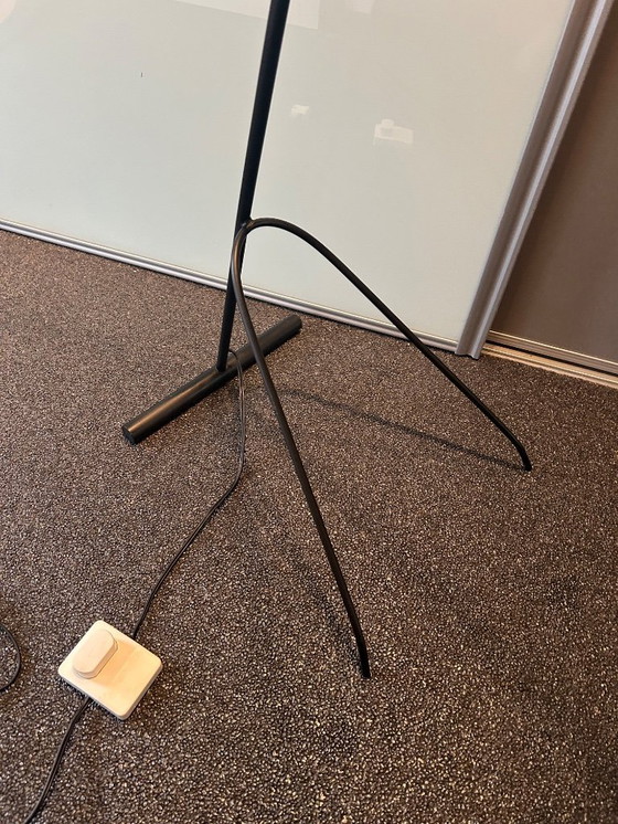 Image 1 of JJ Hoogervorst Anvia Stehlampe.