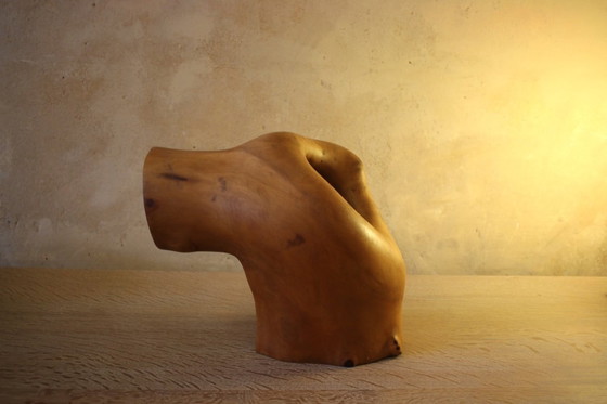 Image 1 of Sculpture aborigène abstraite en bois sculpté et gravé du Mid Century