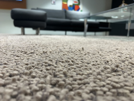 Image 1 of Aventura Carpets Nalesco Teppich - 400x400