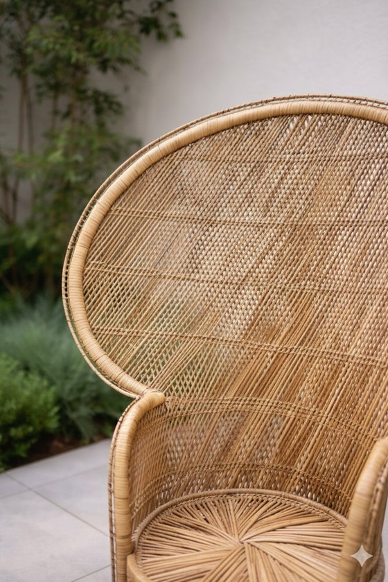 Image 1 of Silla de pavo real