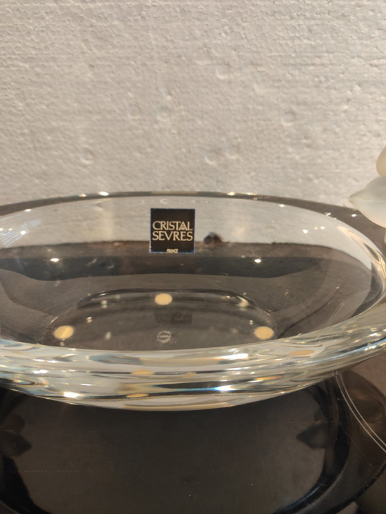 Image 1 of Coupe Ovale Cristal de Sèvres France avec 2 oiseaux, signée