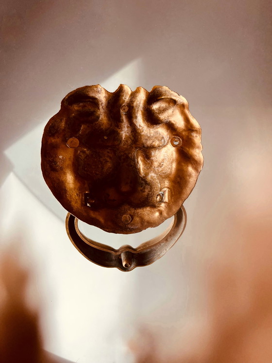 Image 1 of Battente per porta/gancio portasciugamani in ottone a forma di leone