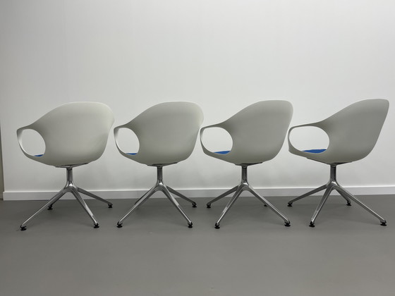 Image 1 of Kristalia Elephant chairs 4 pieces