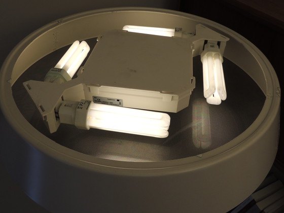 Image 1 of Lámparas de pie Belux Koi Naoto Fukasawa, diseño blanco mate regulable