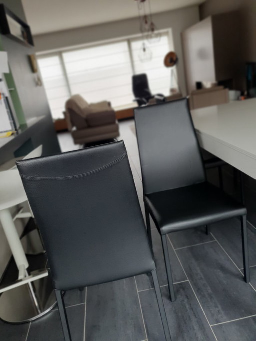 6 sedie Marlene in pelle