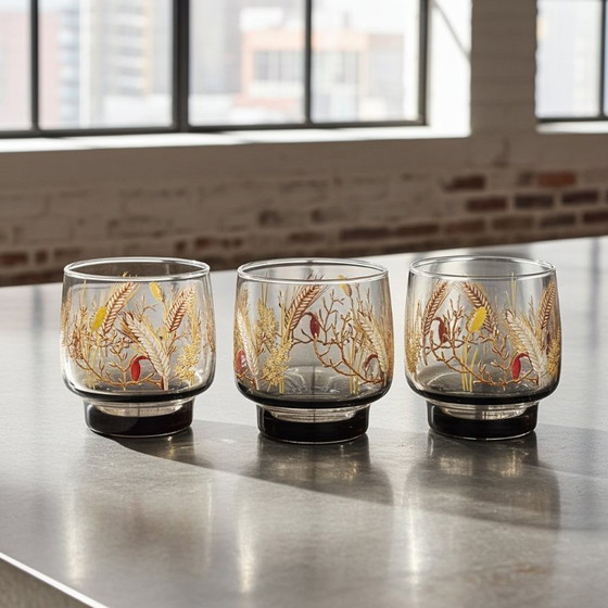 Image 1 of Verres fumés Luminarc Tivoli Vintage Harvest Design des années 1970 - Lot de 3