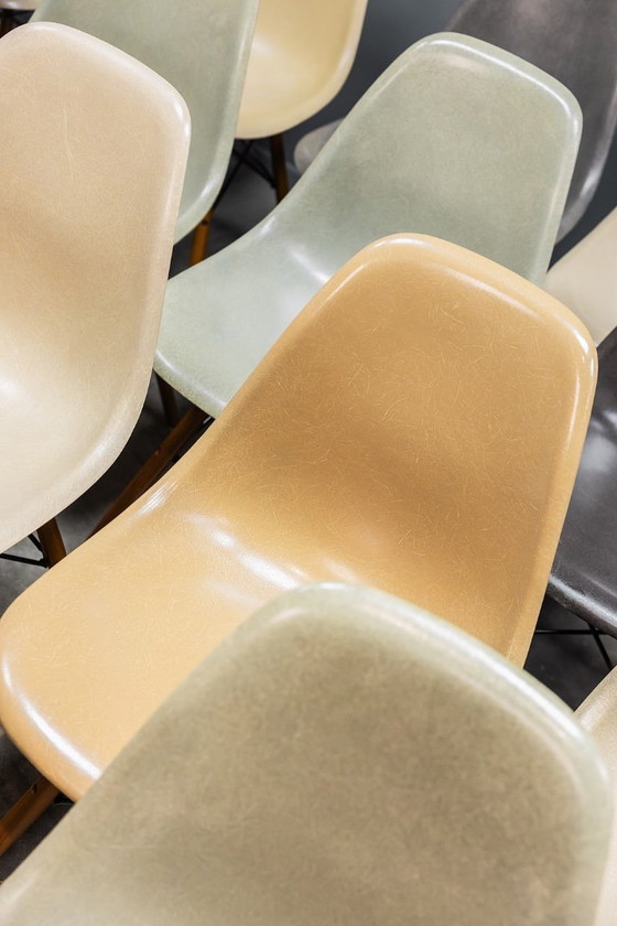 Image 1 of Eames DSW glasvezelstoelen