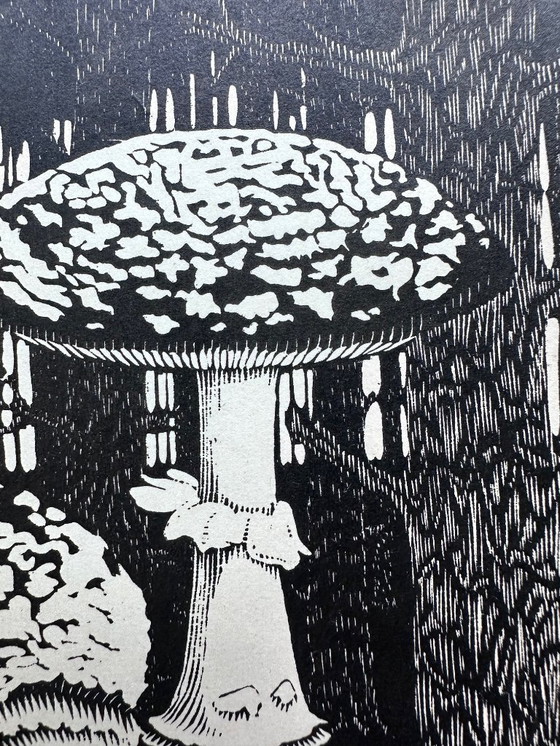 Image 1 of Gravure sur bois de M.C. Escher