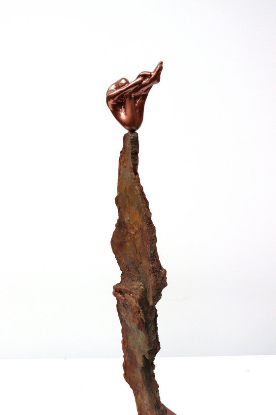 Image 1 of Rééquilibrage de la nature