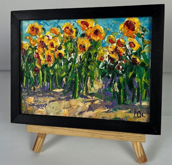 Image 1 of Sunflowers Grow in the Field