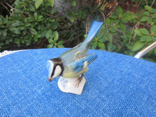 Figurine d'oiseau en porcelaine Goebel, mésange bleue, vintage