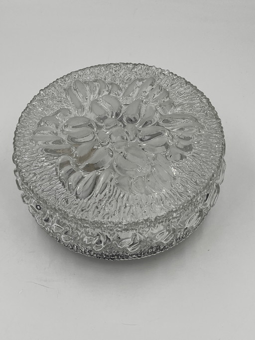 Molded Glass Ceiling Light with Relief