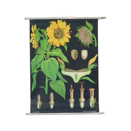 Mappa scolastica vintage Girasole 